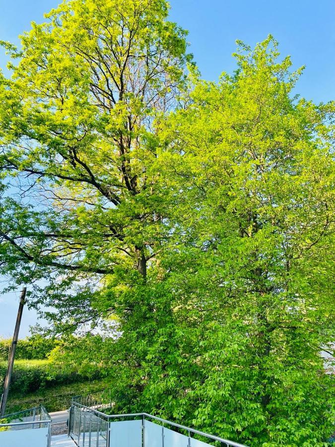 Waldblick Apartment Kaufungen